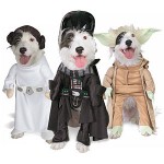 Top Toys for Geeky Pets