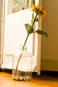Door Stop Bottle
