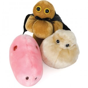 microbes