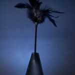 Tickler Ann Summers