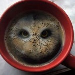 Two Hula Hoops in Coffee makes an Owl
