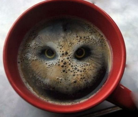 Two Hula Hoops in Coffee makes an Owl