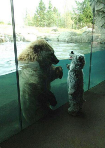 Bear Meets Kid in Bear Costume