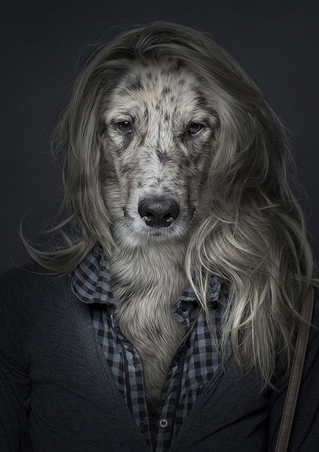 Dog in Wig