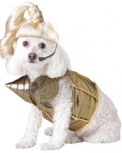 Madonna Dog Fancy Dress