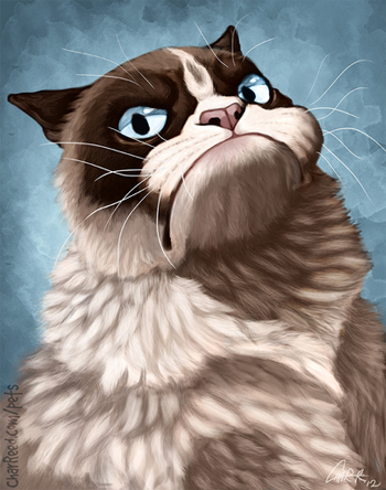 Grumpy Cat Tard Fan Art