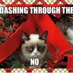 Grumpy Cat - dashing through the no.