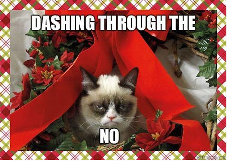 Grumpy Cat - dashing through the no.