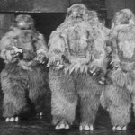Yeti Attack- Doctor Who’s Previously Missing Episodes – The Web of Fear