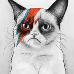 Grumpy Cat as David Bowie print on Etsy