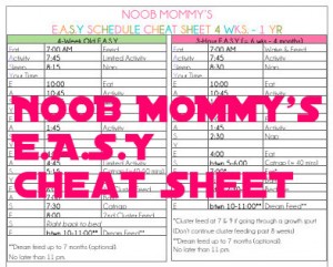 Baby Whisperer Cheat Sheet