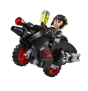 turtles bike lady
