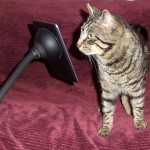 Gaius trying out the MonkeyTail