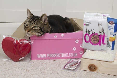 Purrfectbox