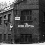 The Horse Hospital