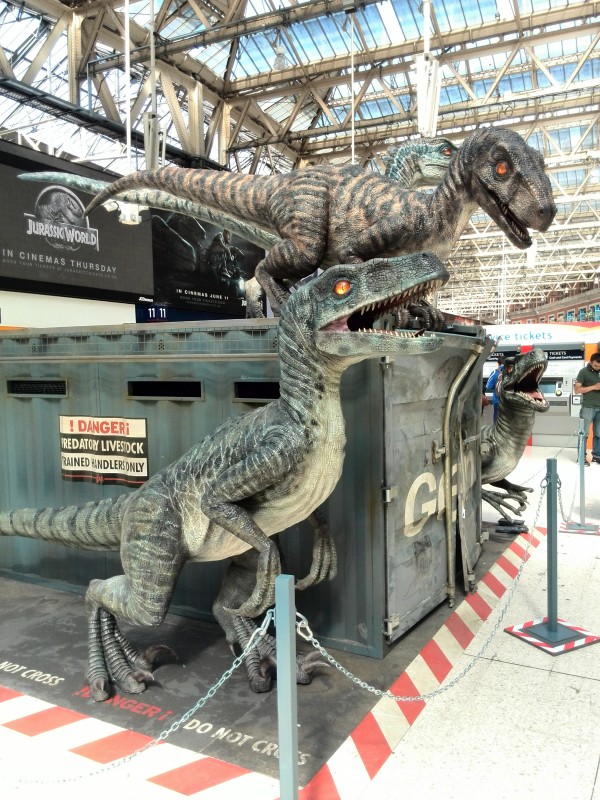 Up close with the clever girls.