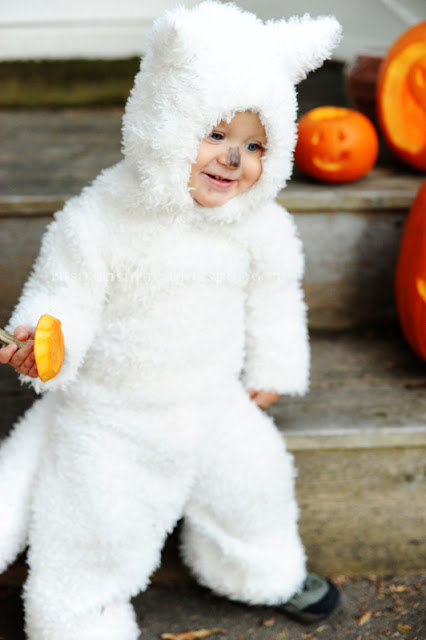 dire wolf pup costume